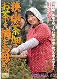 狭山の茶畑でお茶を摘むお母さん 堀池忍